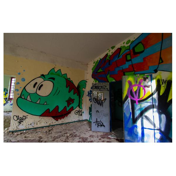 PHOTO84, CLUB, 84 , LUBERON